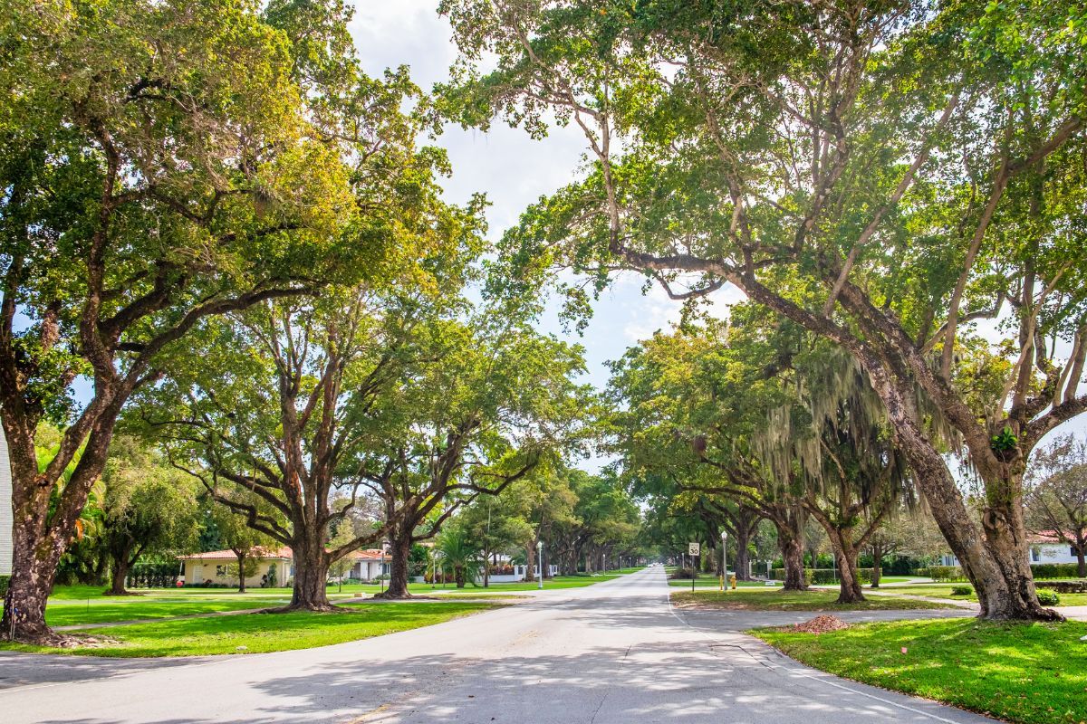 South Miami 