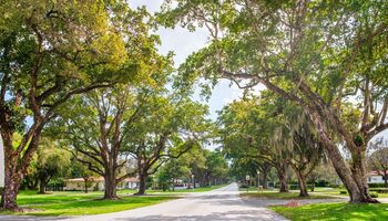 South Miami 
