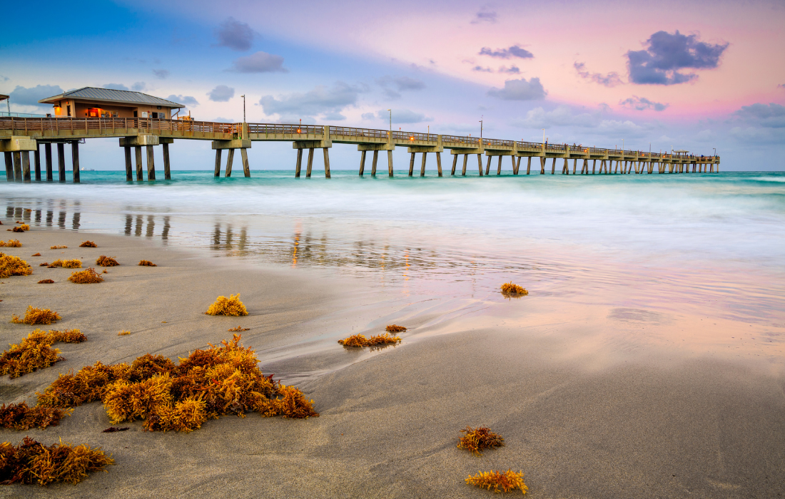 Dania Beach