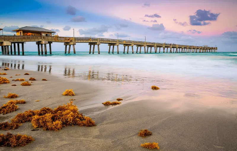 Dania Beach