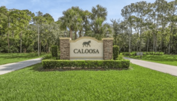 Caloosa