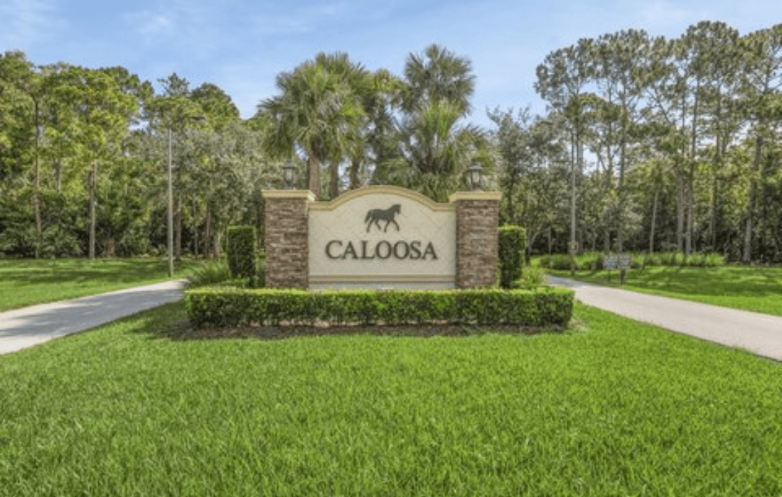 Caloosa