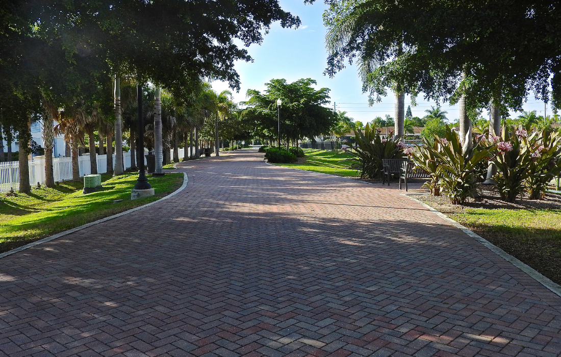 Mangonia Park
