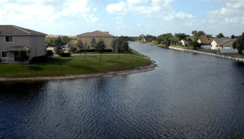 Tamarac