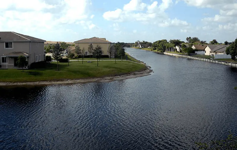 Tamarac