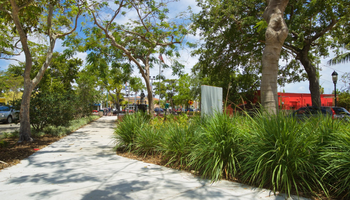 Coral Way