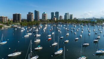 Coconut Grove