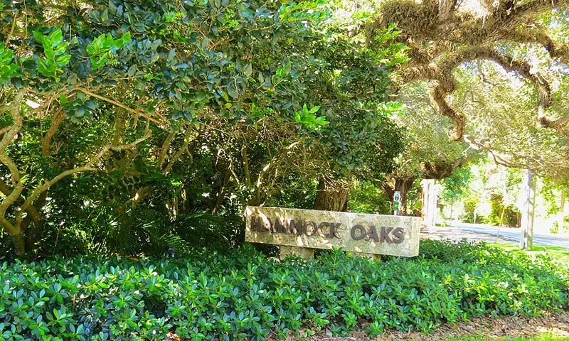 Hammock Oaks