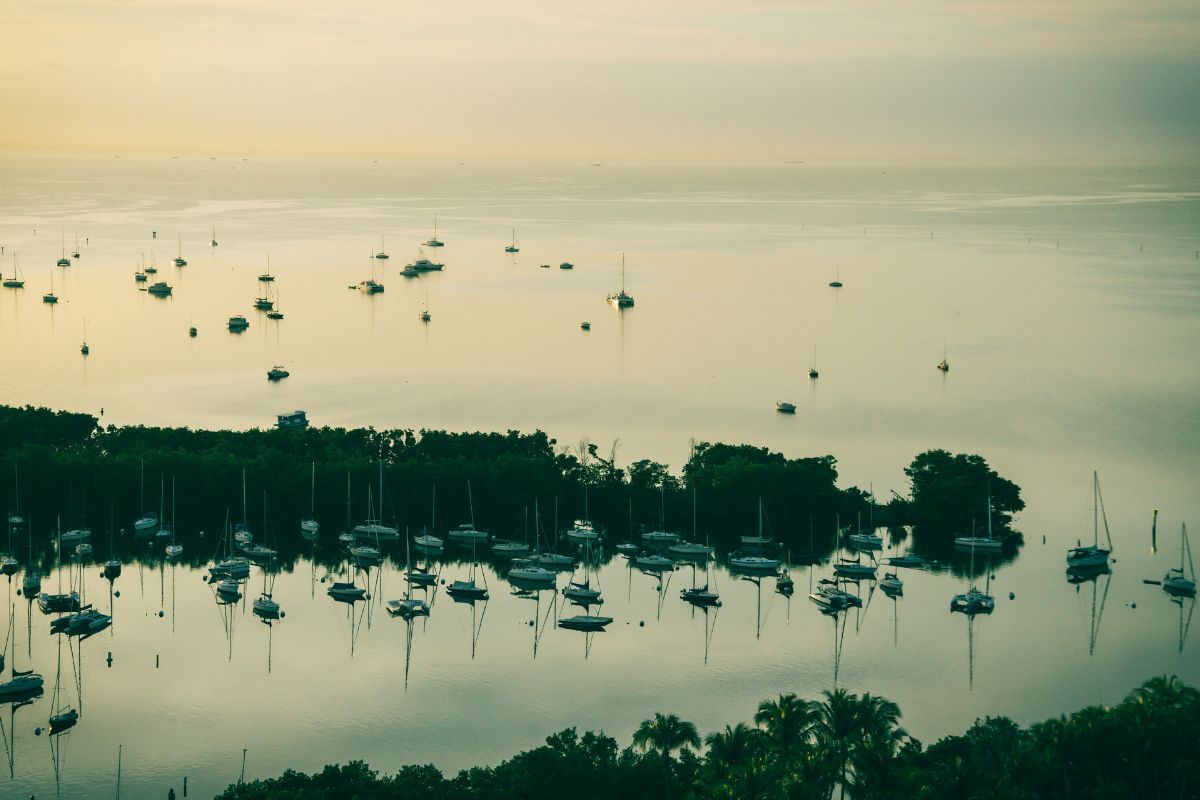 The Moorings