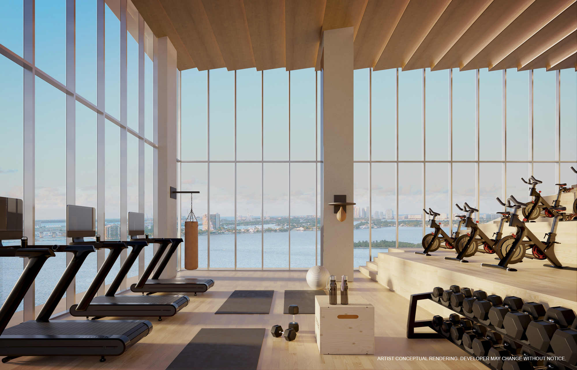 Cove Miami 