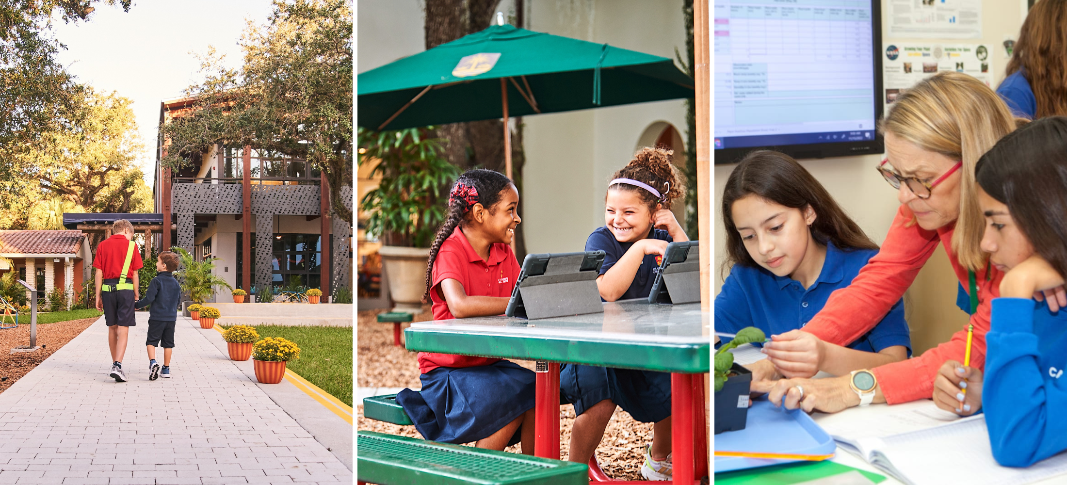 Exploring Coconut Grove:Top Schools 